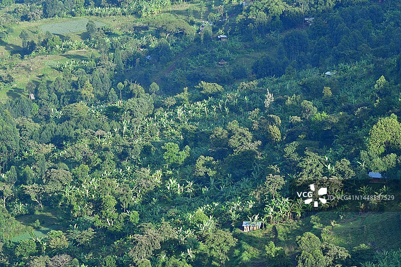 农业林业覆盖的绿色山坡图片素材