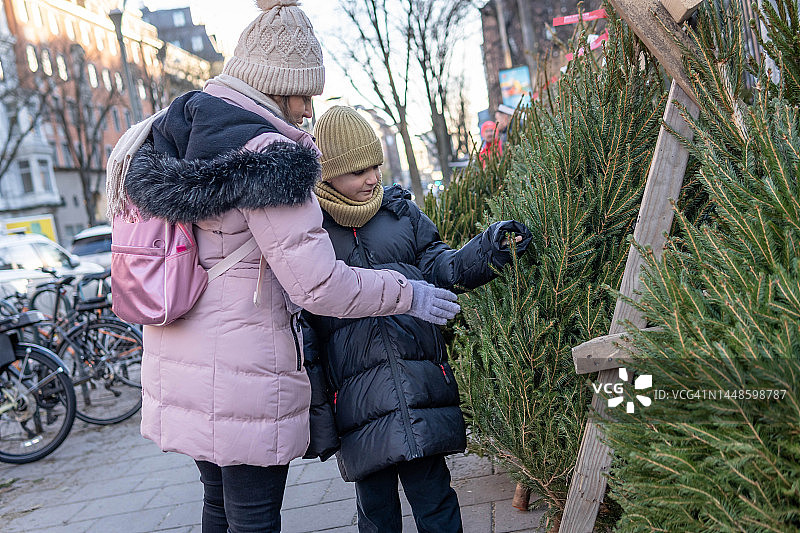 选择合适的圣诞树图片素材