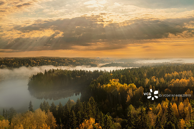 日出时芬兰奥兰科的秋日雾林图片素材