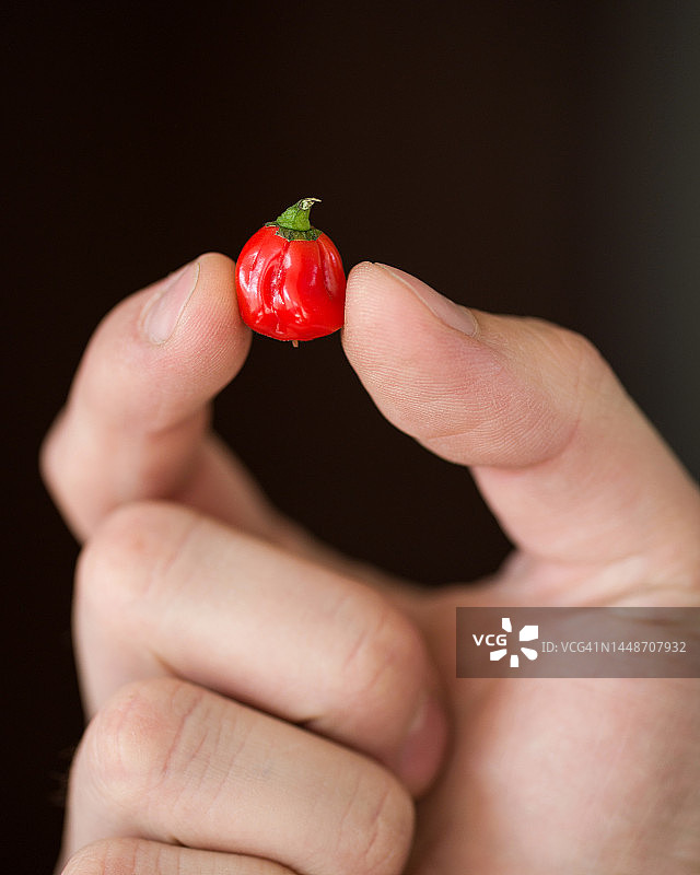 男性手中的红色樱桃辣椒，辛辣食品广告照片图片素材