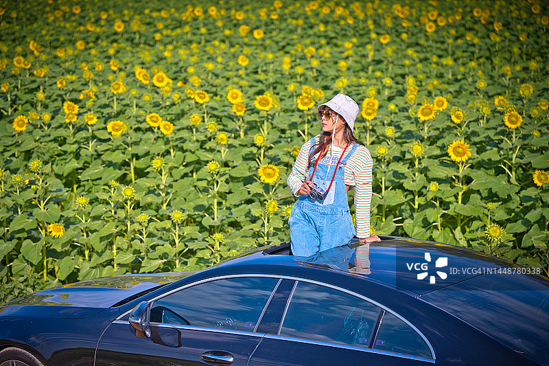 路边的鲜花图片素材