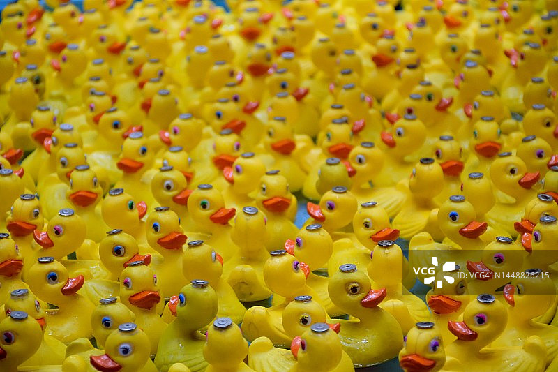 小黄鸭图片素材