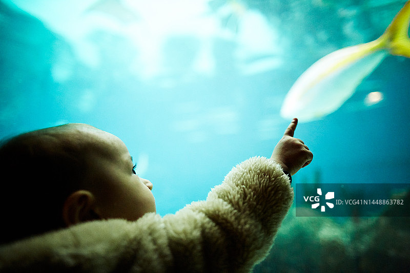 在水族馆指着鱼的男孩图片素材