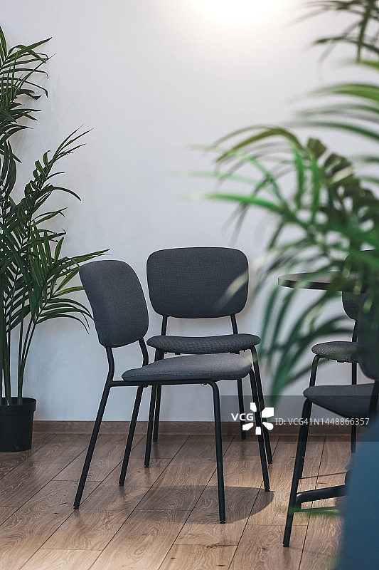 客厅里盆栽背景前的空椅子图片素材