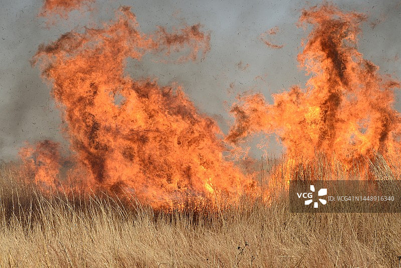 草地上的火焰图片素材