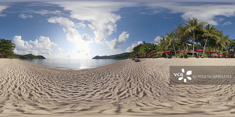 360度VR：带棕榈树的沙滩图片素材