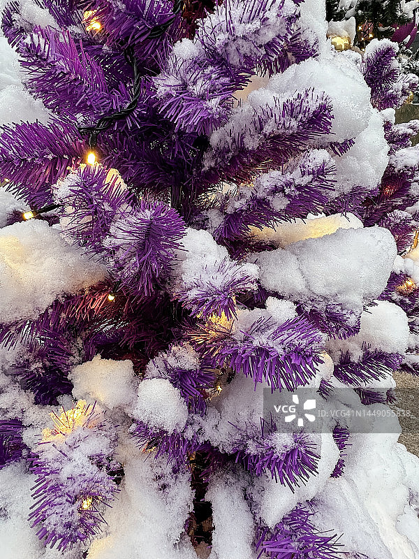 被雪覆盖的喜庆装饰紫色人造圣诞树（竖图）图片素材