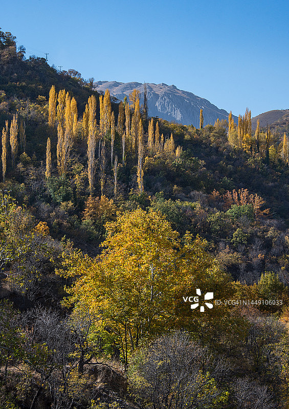 土耳其东安纳托利亚，埃尔津詹省的凯马利耶区图片素材