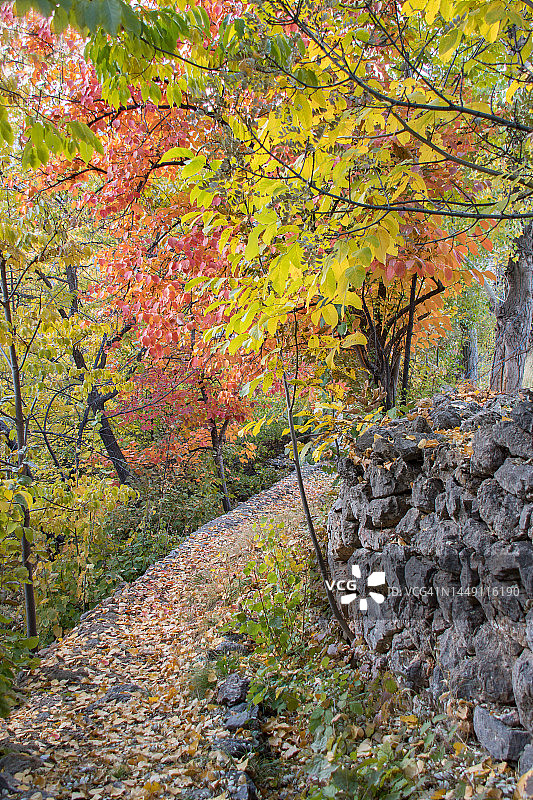 土耳其东安纳托利亚，埃尔津詹省的凯马利耶区图片素材
