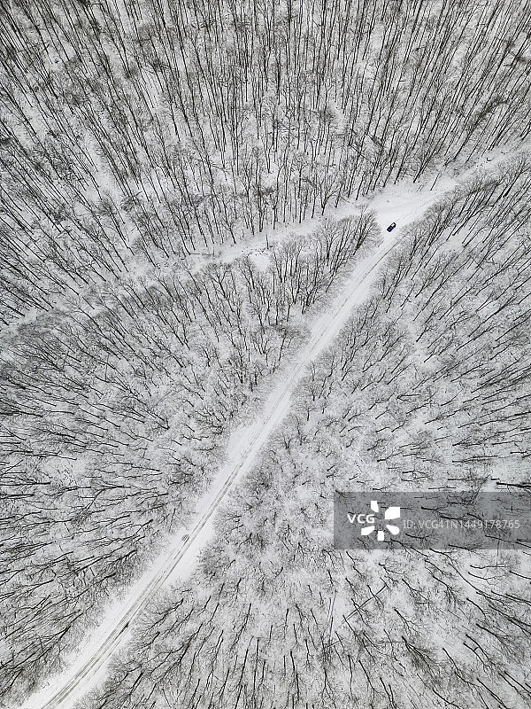 穿过雪林的道路鸟瞰图图片素材