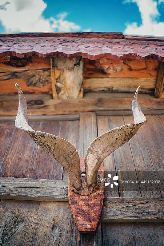 马克霍尔山羊角图片素材