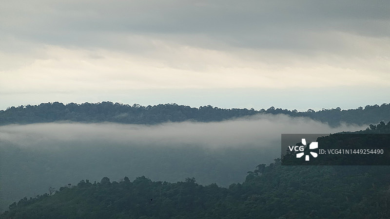 多云的热带雨林图片素材