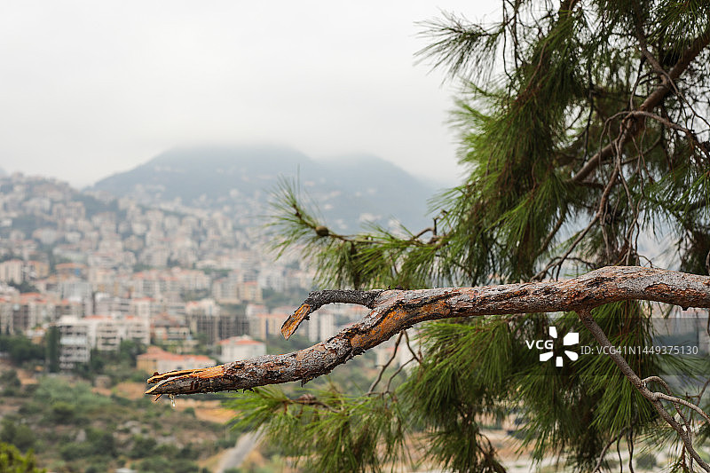黎巴嫩山丘景色图片素材
