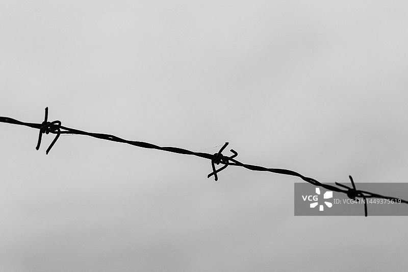 黎巴嫩三个尖刺图片素材