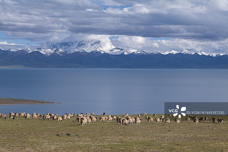 中国西藏自治区纳木错图片素材