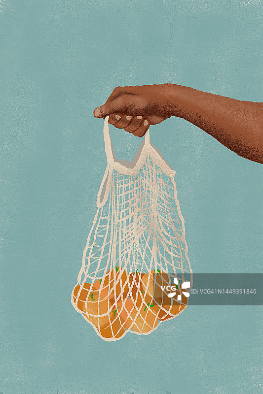 手提装着橙子的网兜数字插画图片素材
