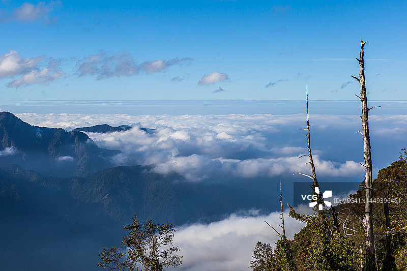 中国台湾阿里山图片素材