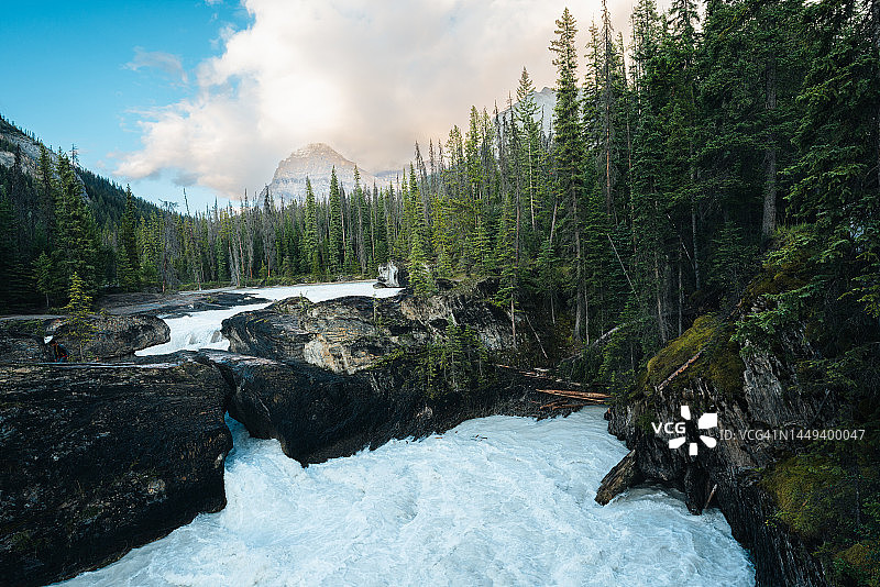 加拿大荒野、瀑布和森林风光图片素材