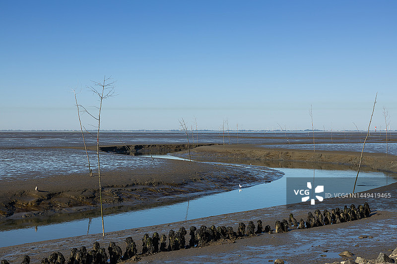 北海海岸线的退潮景象图片素材