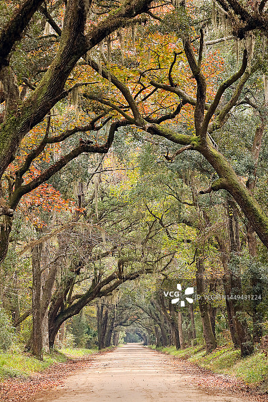 美丽的道路图片素材