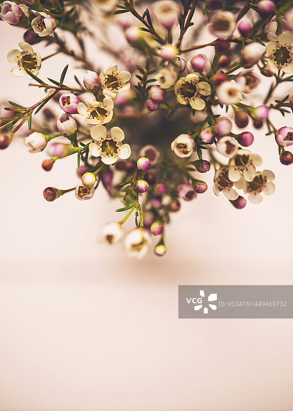 母亲节祝福寄语的精致蜡花花束图片素材