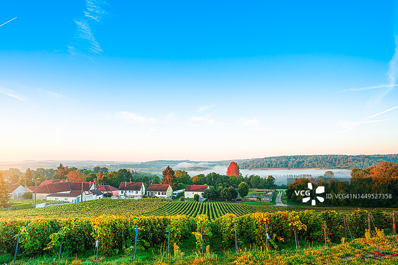 法国山地农场的葡萄园和葡萄图片素材