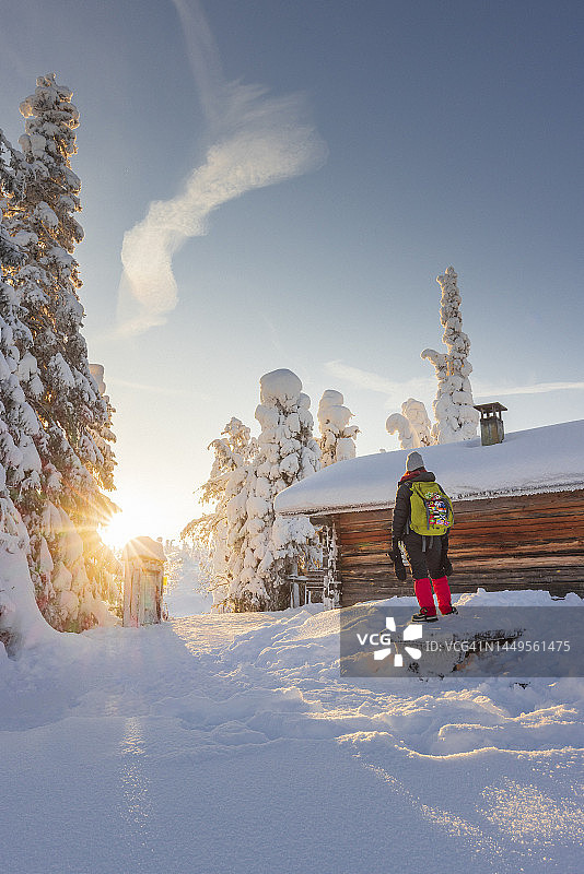 芬兰的Riisitunturi森林图片素材