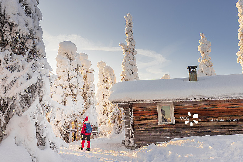 芬兰的Riisitunturi森林图片素材