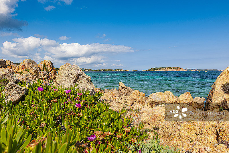 撒丁岛，拉马达莱纳岛海岸线图片素材