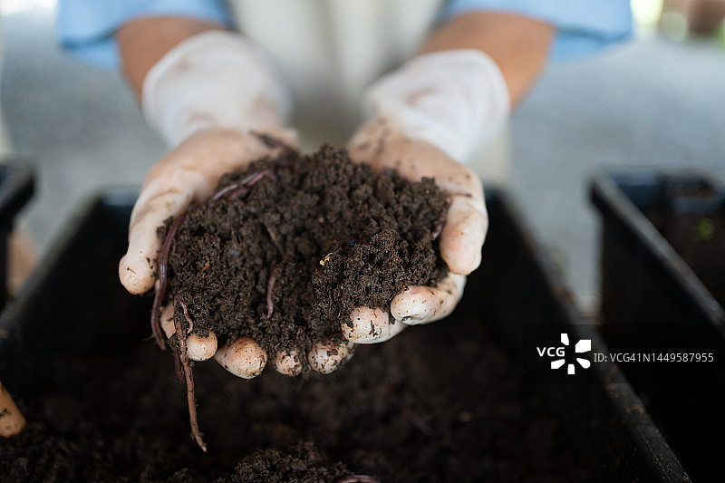 用蚯蚓给蚯蚓施肥图片素材