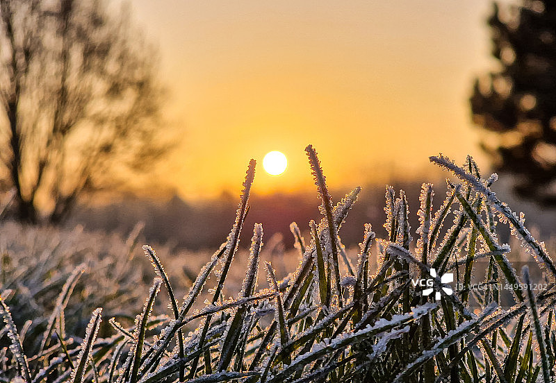 寒冷的冬日清晨日出图片素材