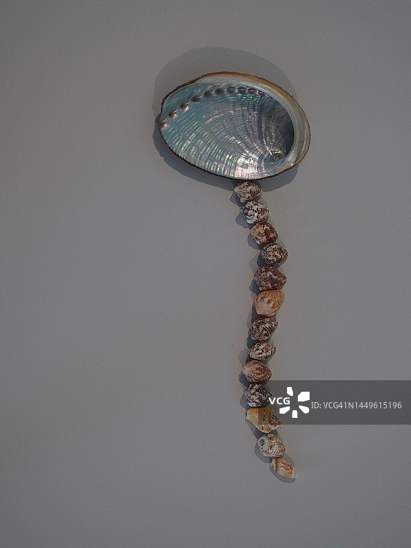 贝壳生活图片素材