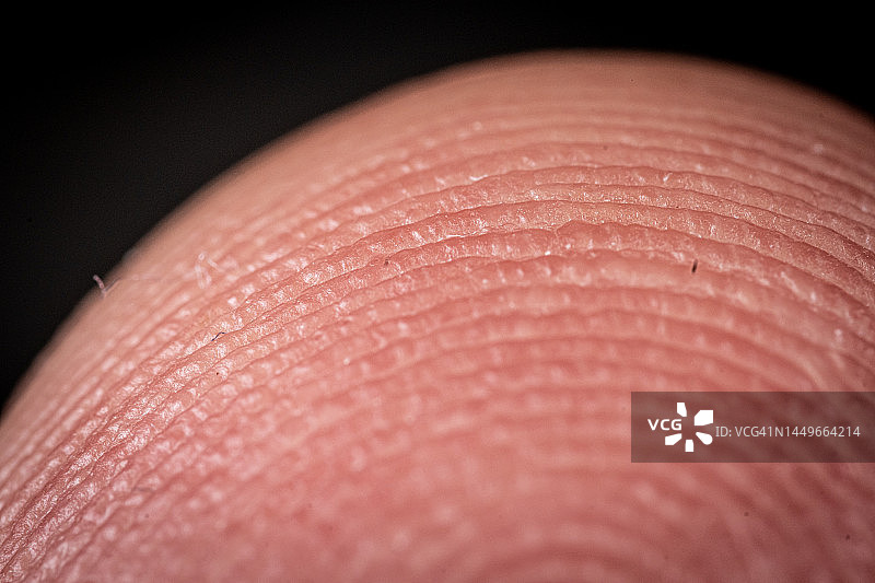 手指指纹图片素材