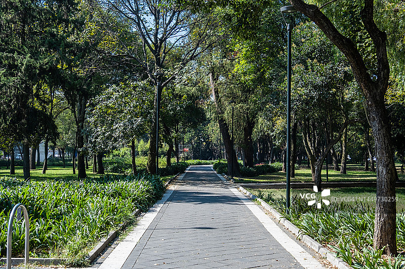 墨西哥墨西哥城波兰科区美丽的公园图片素材