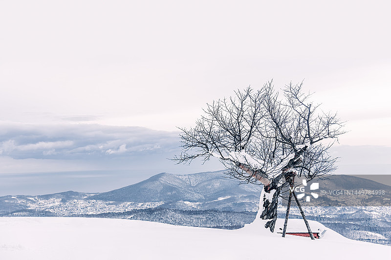 日本北海道小樽天狗山冬日雪景图片素材