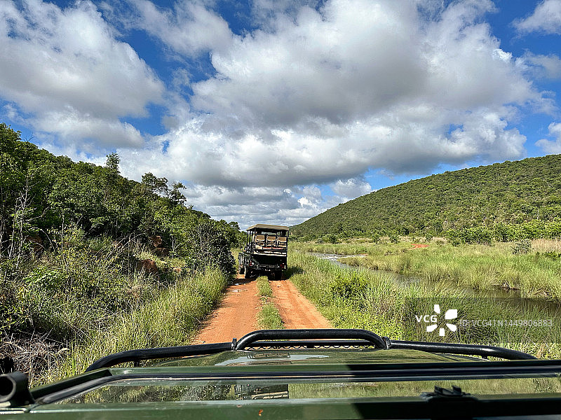 南非野生动物摄影之旅图片素材