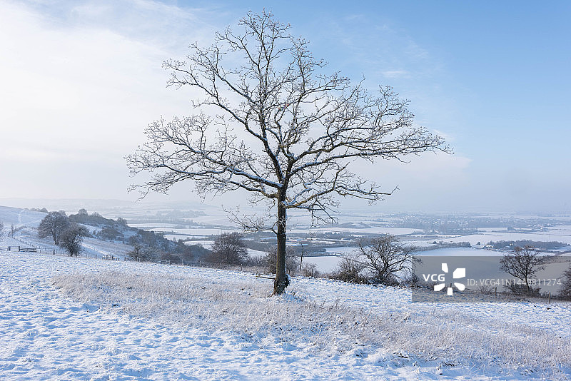 冬季的邓斯特布尔丘陵图片素材