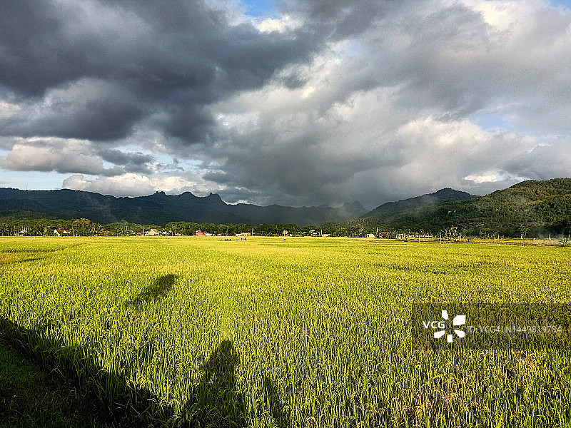 广阔的农田山景风光图片素材