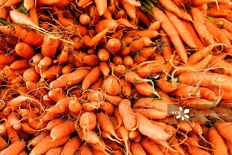 胡萝卜特写根茎类蔬菜，健康饮食有机蔬菜图片素材