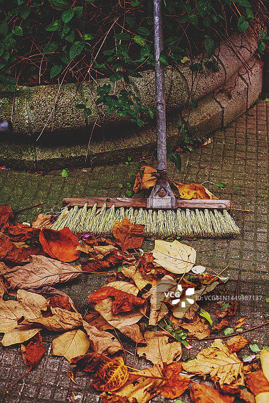 后院的花园扫帚和秋叶图片素材