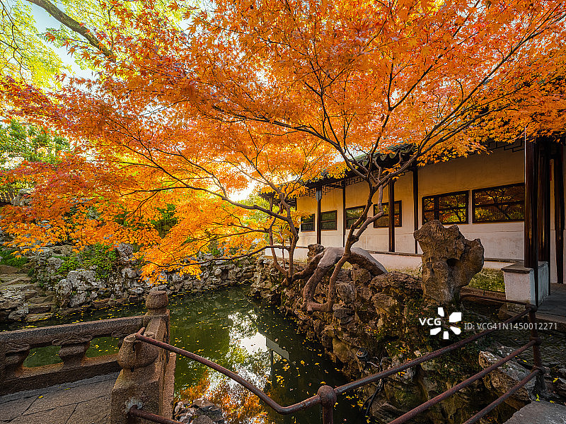 秋季古建筑旁的日本枫树图片素材