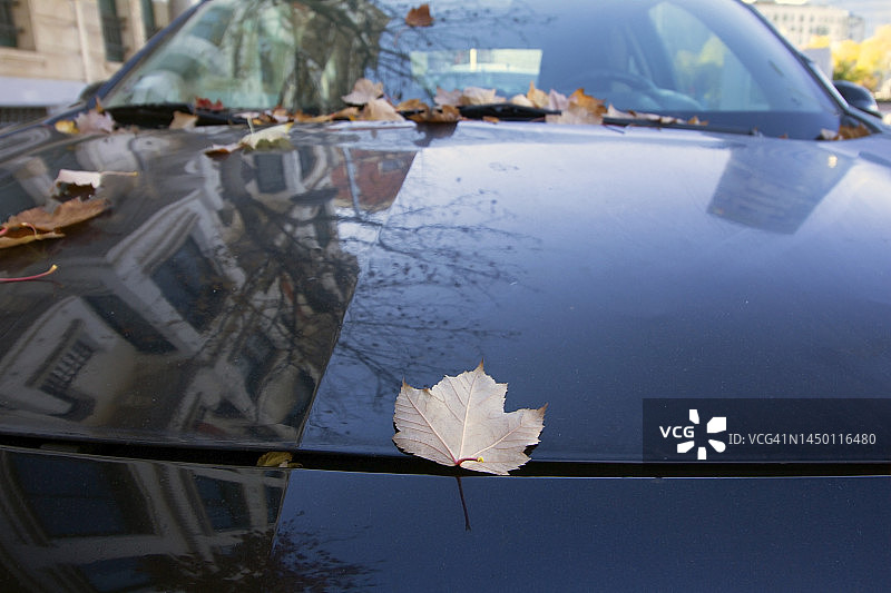 秋日里的汽车图片素材