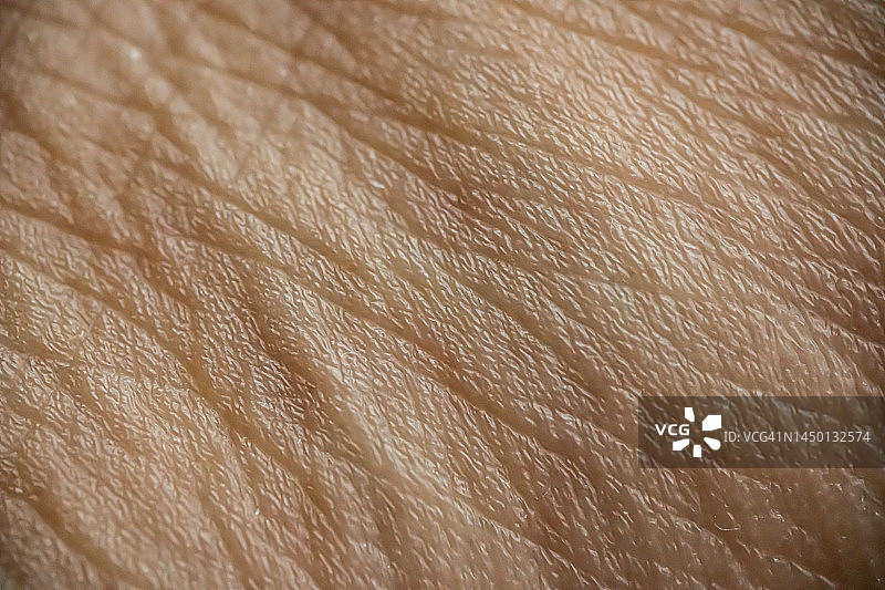 人体皮肤特写图片素材