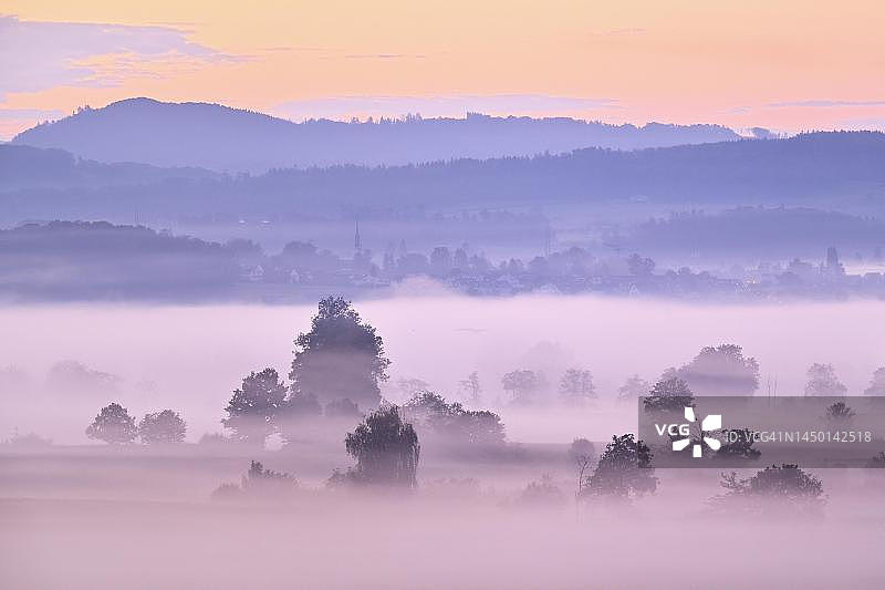 瑞士阿尔高州阿里斯陶罗伊斯河谷清晨薄雾中的草甸和树木图片素材