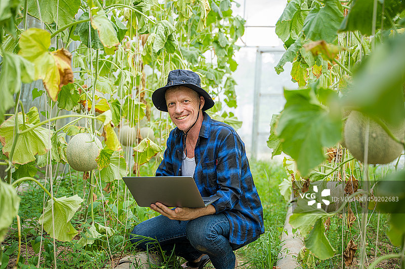 农民在农场检查植物图片素材