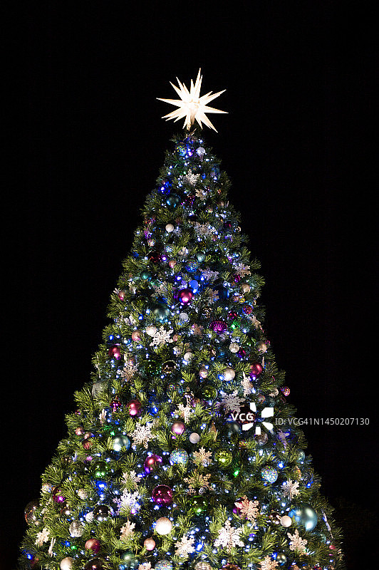 夜晚的户外圣诞树图片素材
