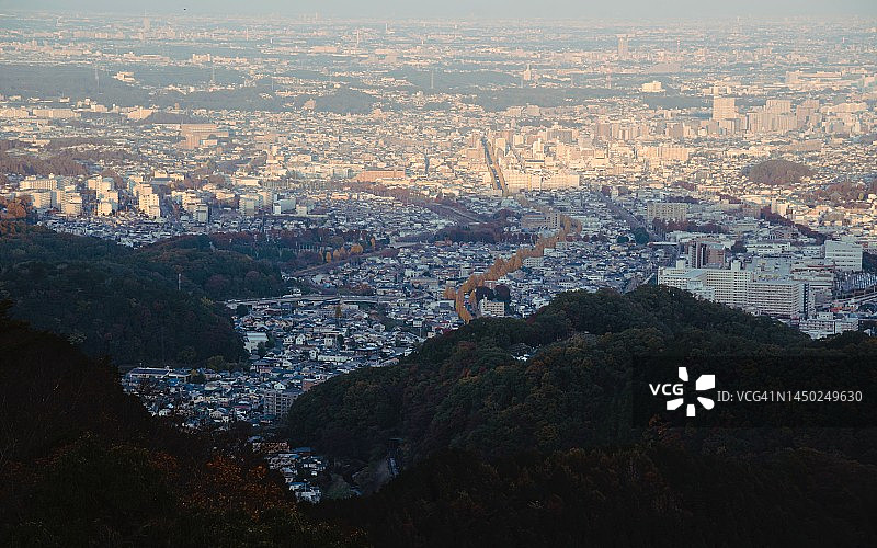 从日本东京八王子市的高尾山俯瞰秋季金黄色的银杏树图片素材