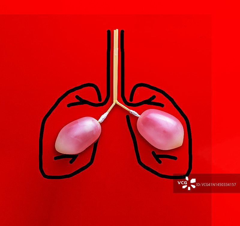 肺部示意图图片素材