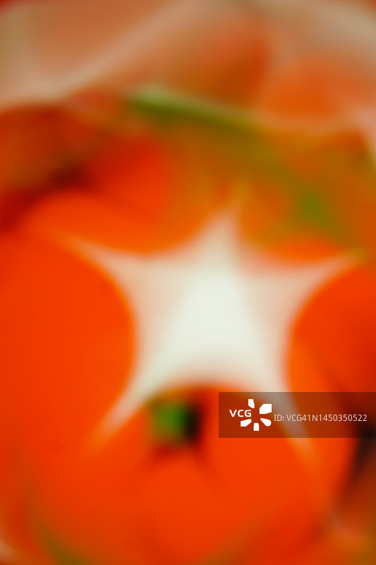 橙色南瓜模糊抽象背景图片素材