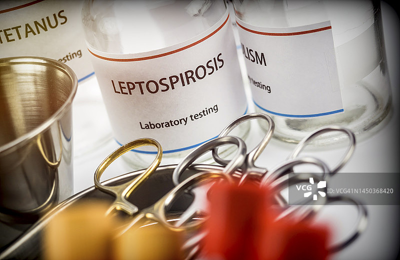 实验室中的钩端螺旋体病检测概念图图片素材